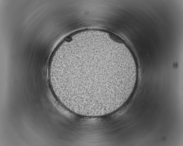 X0000114210891200911201020