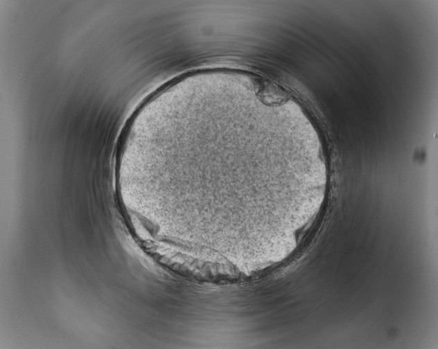 X0000114210892200911201020
