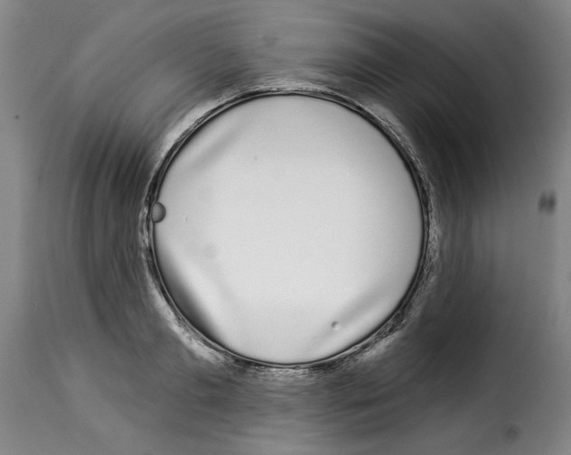 X0000114210893200911201020