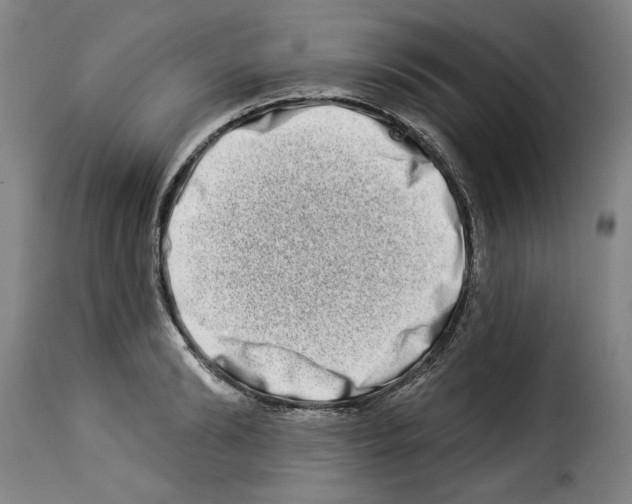 X0000114210894200911201020
