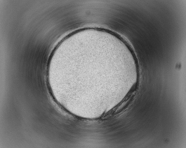 X0000114210895200911201020