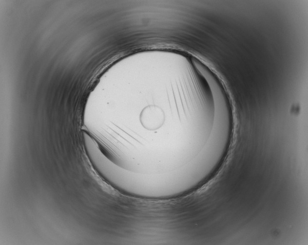 X0000114210897200911201020