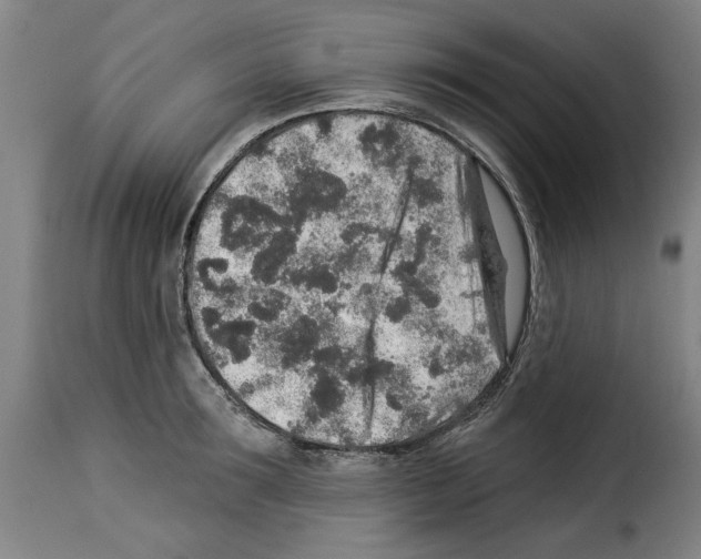 X0000114210899200911201020