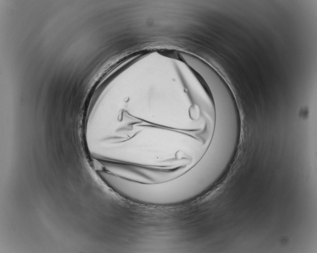 X0000114210901200911201020