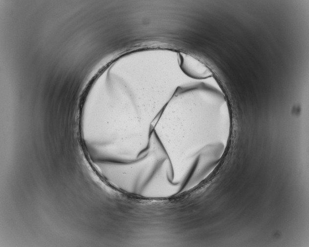 X0000114210902200911201020