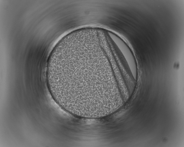 X0000114210903200911201020