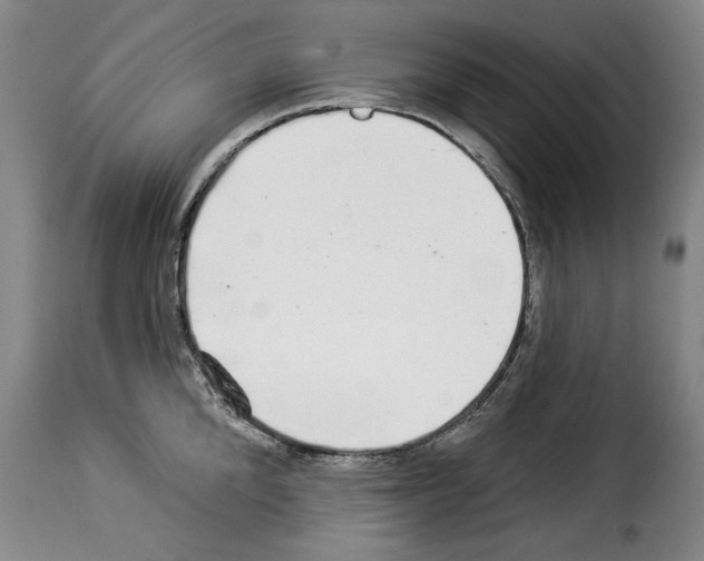 X0000114210904200911201020