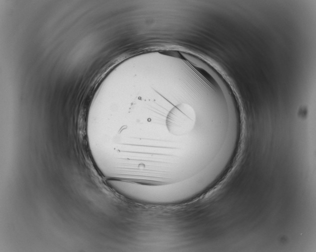 X0000114210905200911201020
