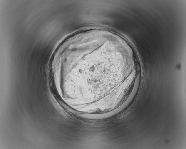 X0000114210907200911201020