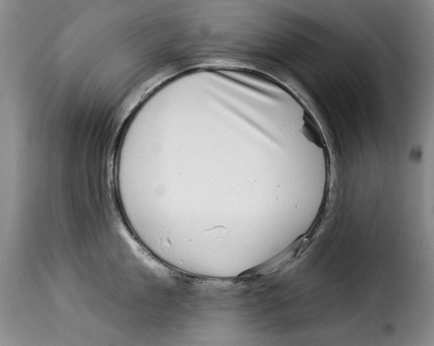 X0000114210909200911201020