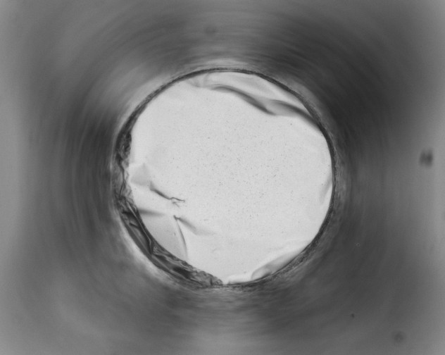 X0000114210910200911201020