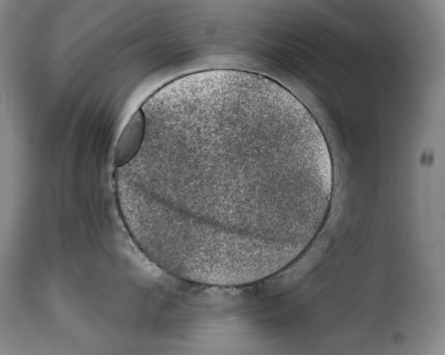 X0000114210912200911201020