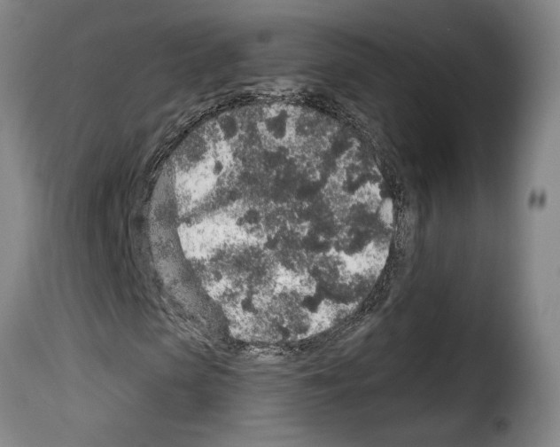 X0000114210913200911201019