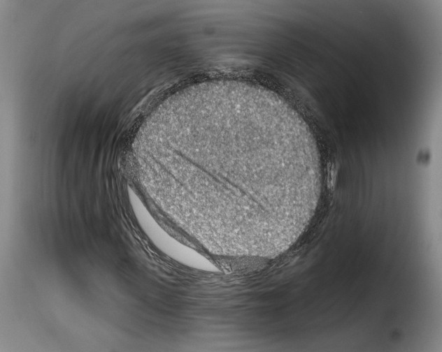 X0000114210915200911201019