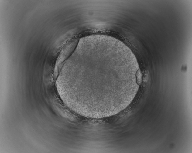 X0000114210916200911201019