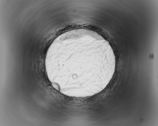 X0000114210917200911201019
