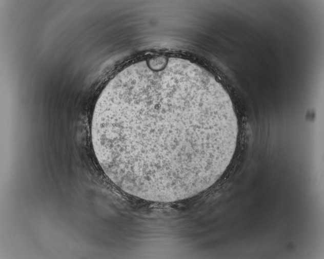 X0000114210918200911201019