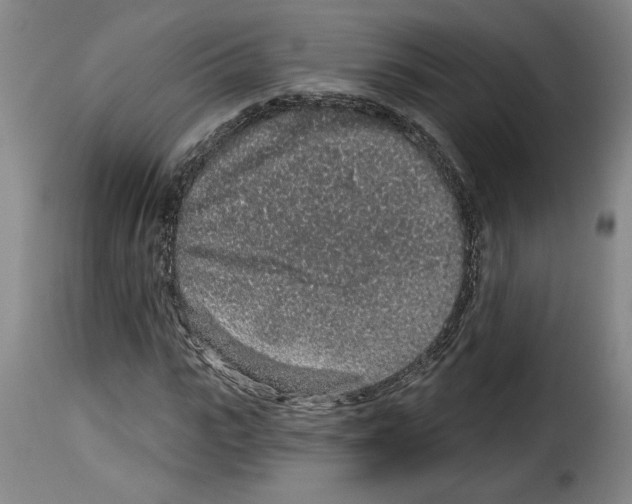 X0000114210919200911201019
