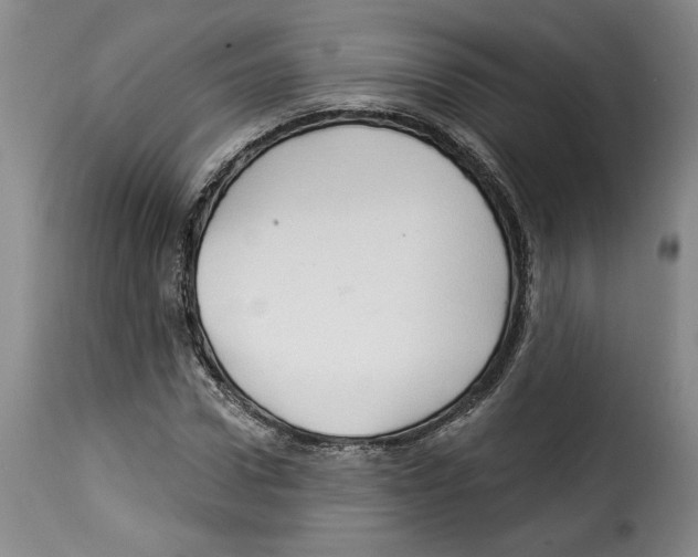 X0000114210922200911201019