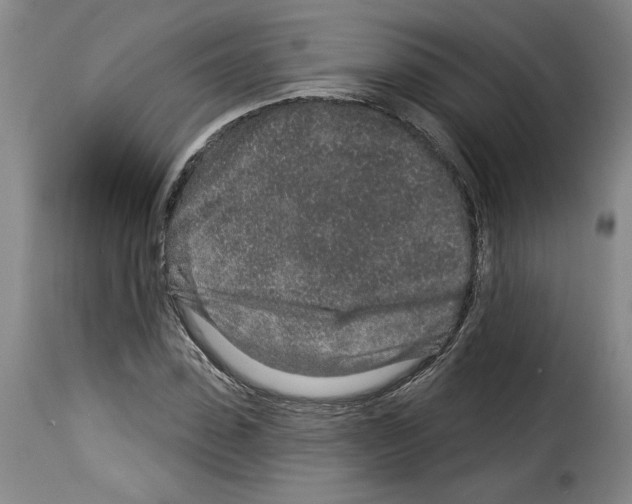 X0000114210923200911201019