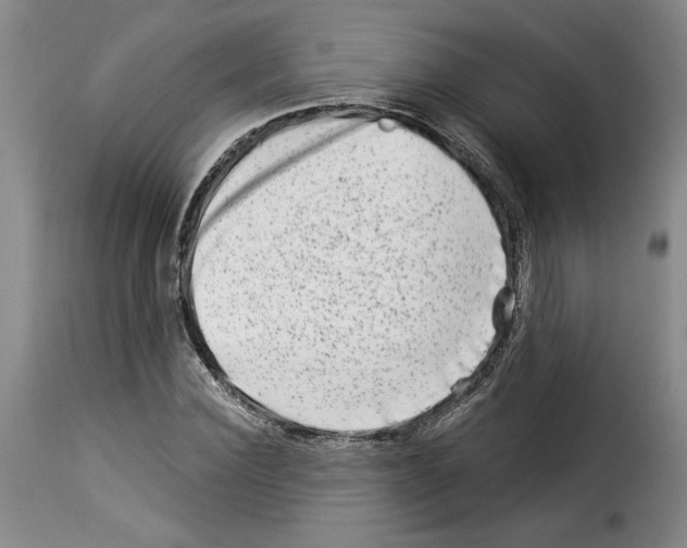 X0000114210924200911201019