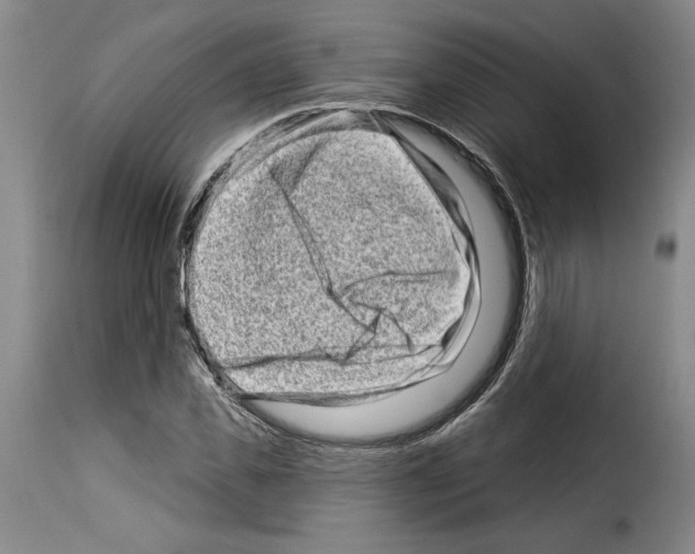 X0000114210925200911201019