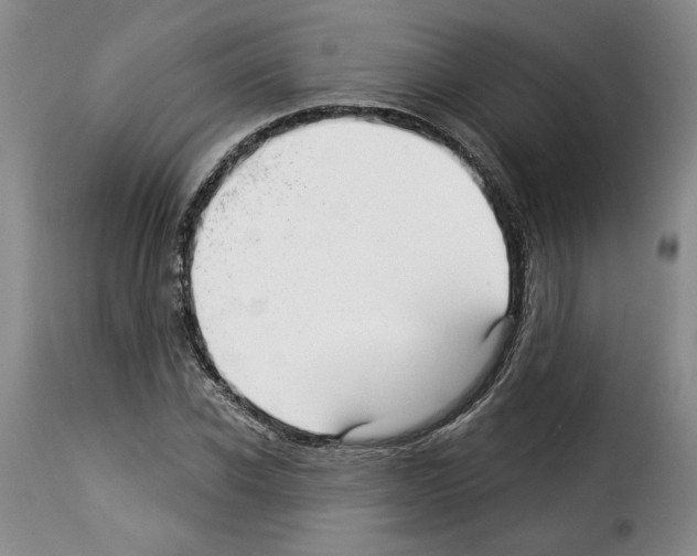 X0000114210926200911201019
