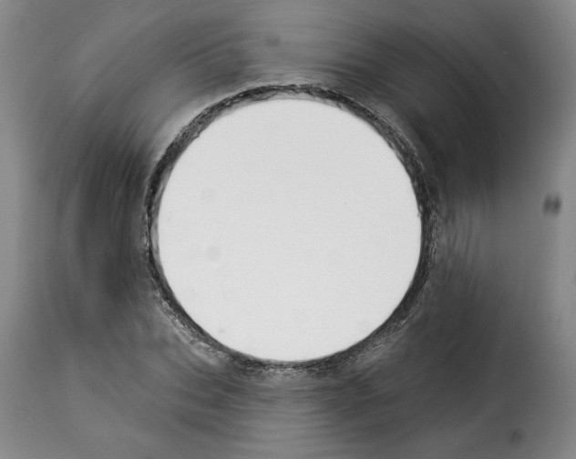 X0000114210927200911201019
