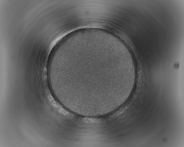 X0000114210928200911201019