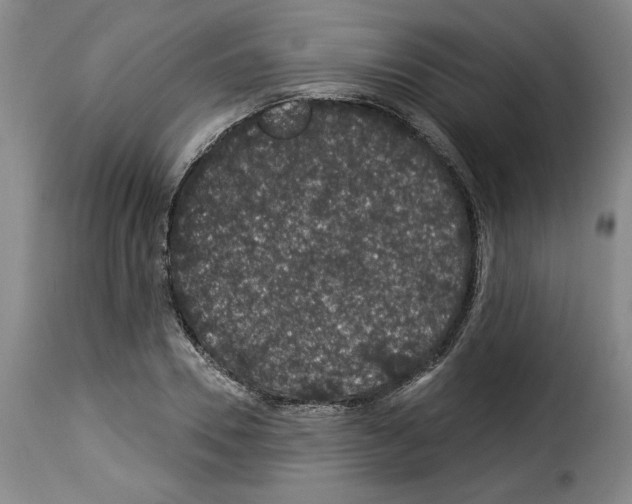 X0000114210930200911201019