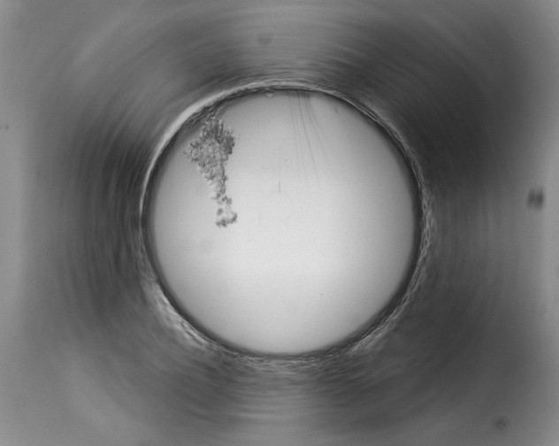 X0000114210932200911201019
