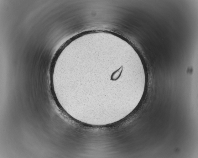 X0000114210936200911201019