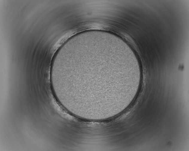 X0000114210938200911201019