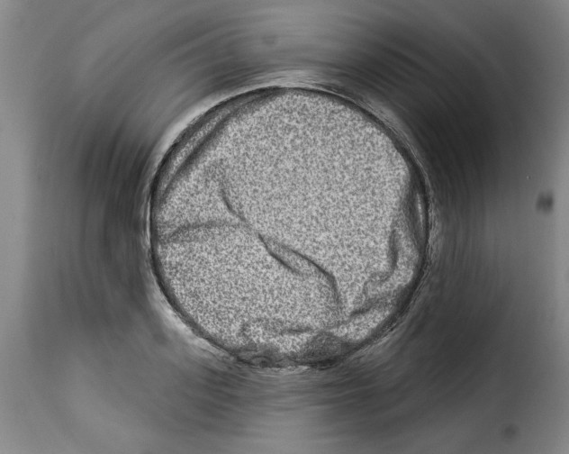 X0000114210939200911201019