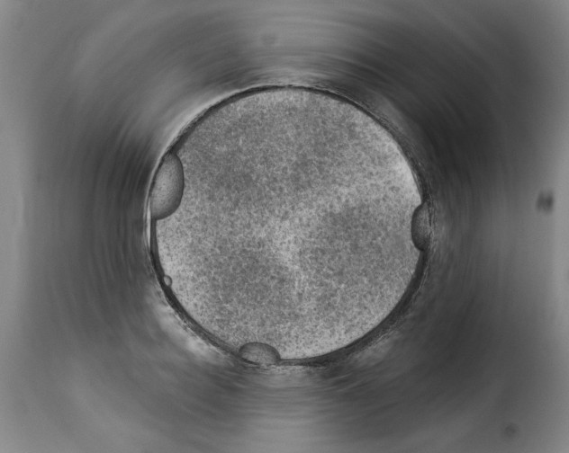 X0000114210940200911201019