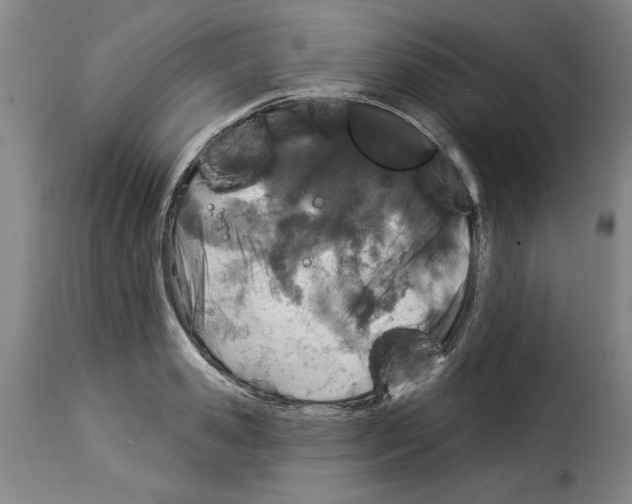 X0000114210941200911201019