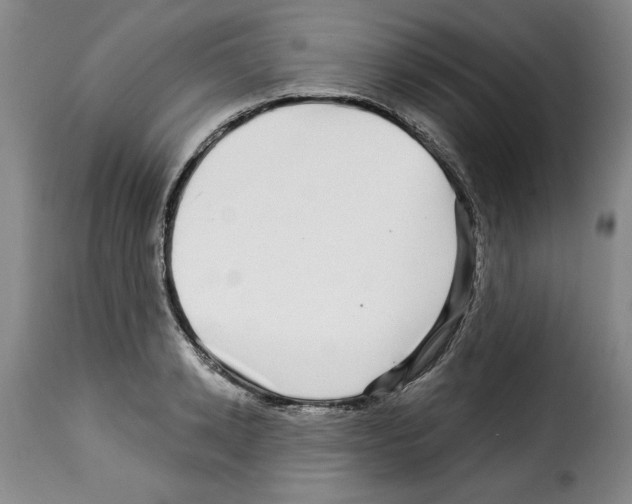 X0000114210942200911201019