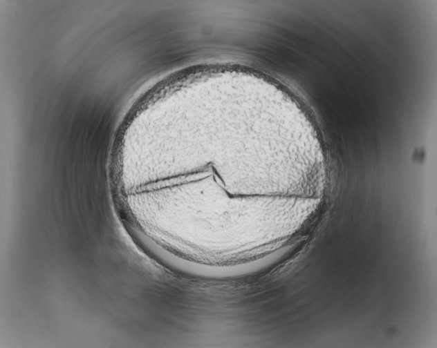 X0000114210943200911201019