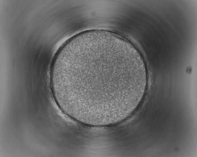 X0000114210944200911201019
