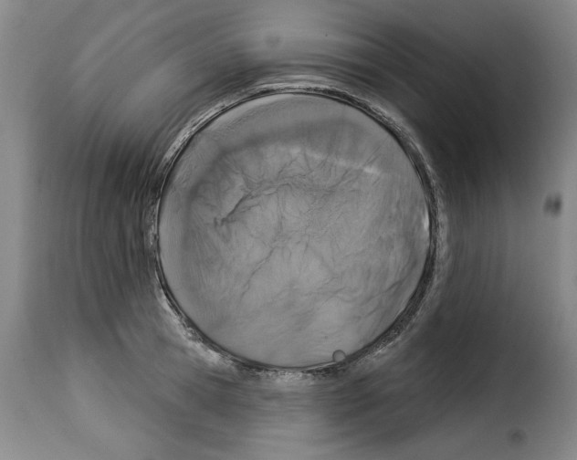 X0000114210945200911201019