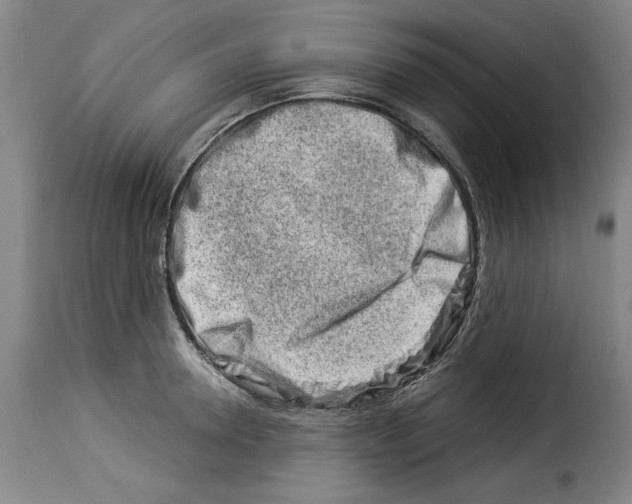 X0000114210946200911201019