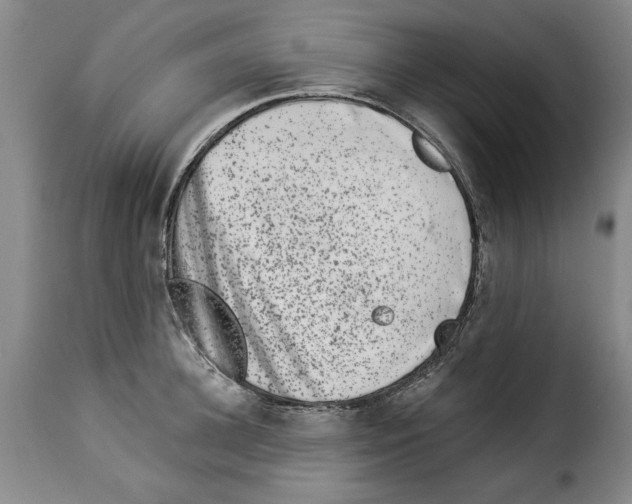 X0000114210948200911201019