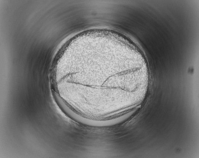 X0000114210951200911201020