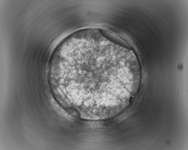 X0000114210952200911201020
