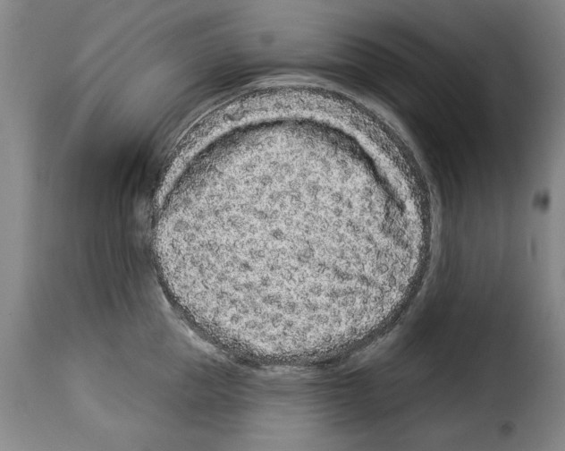 X0000114210953200911201020