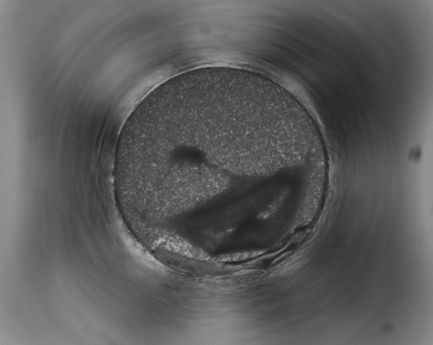 X0000114210954200911201020