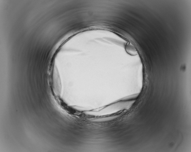 X0000114210955200911201020