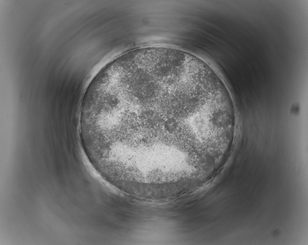 X0000114210957200911201020