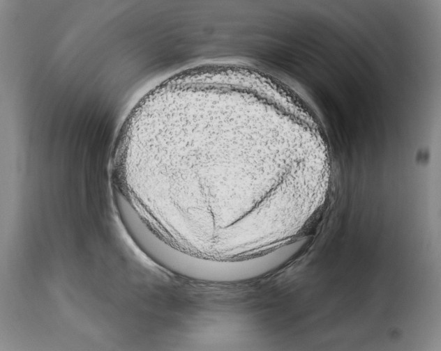 X0000114210959200911201020