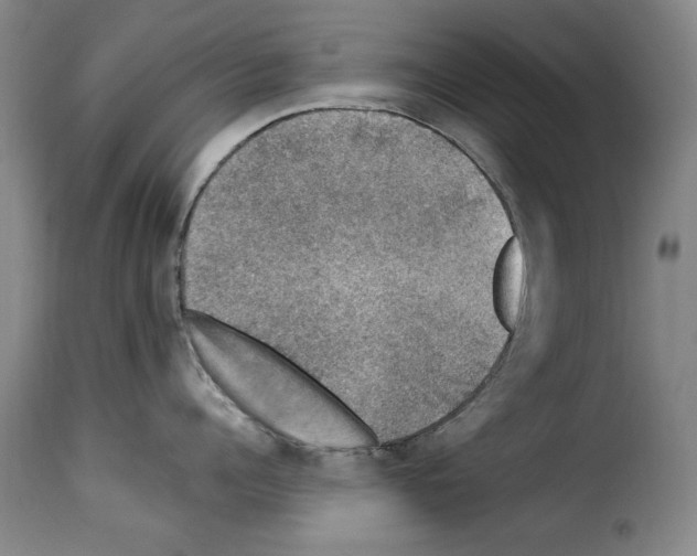 X0000114210960200911201020